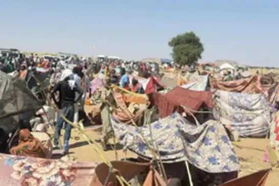 منظمة الهجرة الدولية: سجلنا 1290 نازحاً جديداً من ولايتين جنوبي السودان