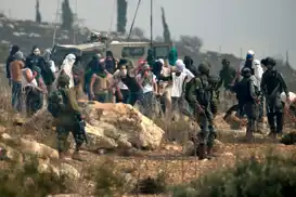 Siyonist rejim ve Yahudi çeteler Batı Şeria'da 2 bin 144 saldırı düzenledi