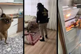 Şırnak’ta uyuşturucu satıcılarına şafak operasyonu: 20 gözaltı