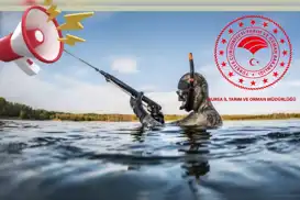 Amatör balıkçılar için sualtı avcılığında yeni zorunluluk