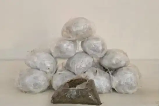 Diyarbakır'da 23 kilogram esrar ele geçirildi