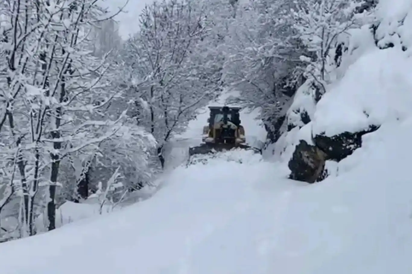 Şırnak’ta okullara kar tatili