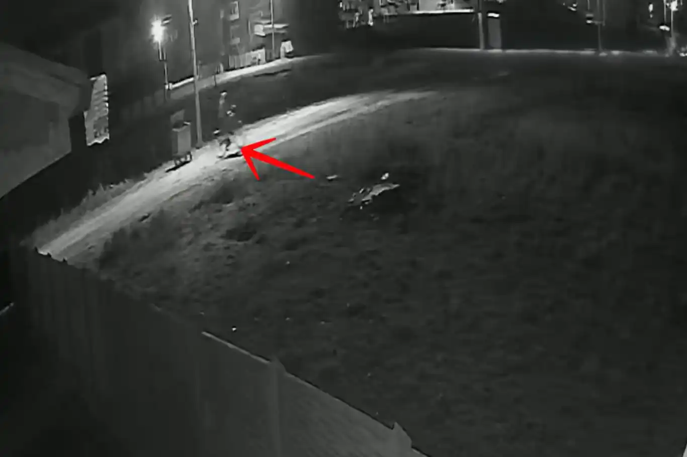 Afyonkarahisar’da iki ayrı hırsızlık olayının şüphelisi tutuklandı