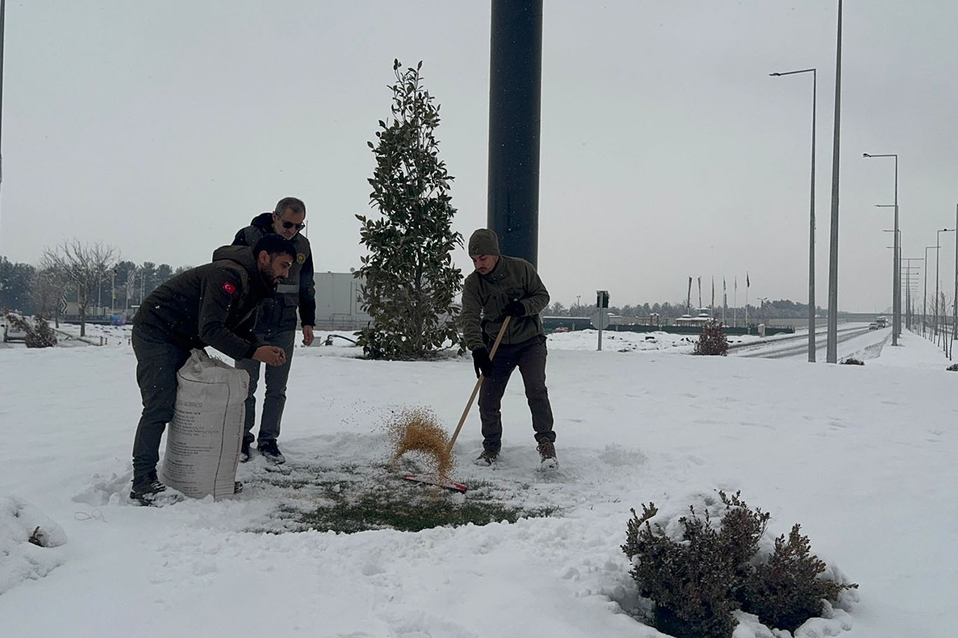 Batman'da yaban hayvanları için doğaya yem bırakıldı