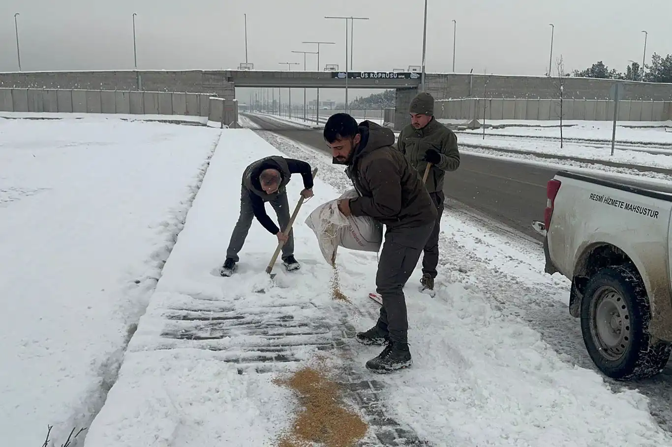 Batman'da yaban hayvanları için doğaya yem bırakıldı