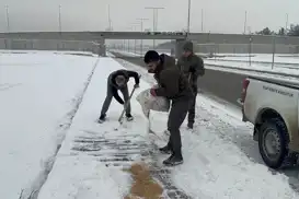 Batman'da yaban hayvanları için doğaya yem bırakıldı