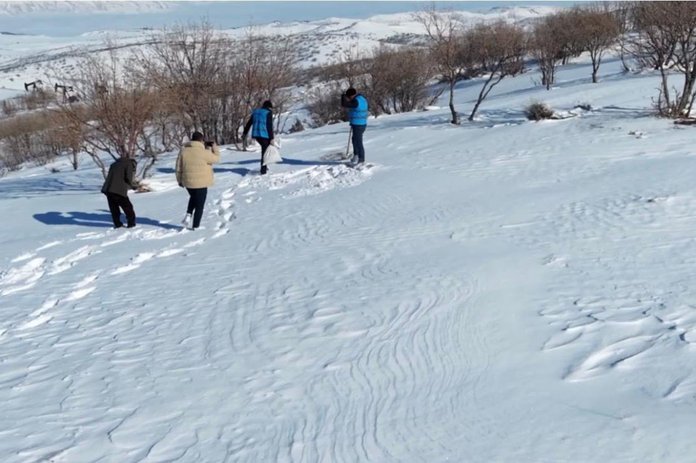 Batman'da yaban hayvanları için doğaya yem bırakıldı