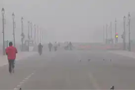 Hindistan, yıllardır hava kirliliği nedeniyle akut solunum yolu vakaları yaşıyor