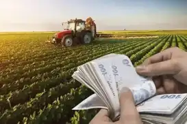 Çiftçilere destek ödemesi bugün hesaplara aktarılıyor