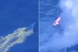 الولايات المتحدة تضرب قارباً يشتبه بنقله مخدرات في شرق المحيط الهادئ