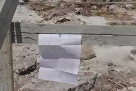 داگیرکەران ئاگادارییەک بۆ هەڵوەشاندنەوەی سەدان داری زەیتون لە بەیت لەحم دەردەکەن