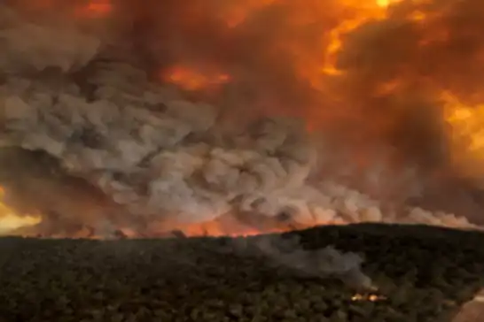Avustralya'da 50'den fazla orman yangını çıktı