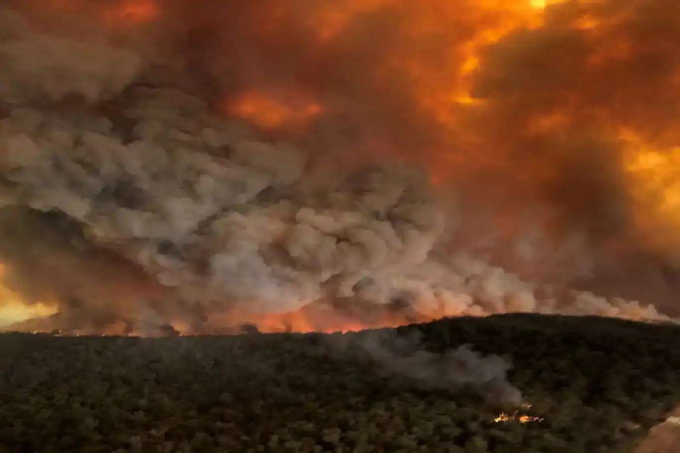 أستراليا: اندلاع أكثر من 50 حريق غابات وسط موجة حر ورياح جافة