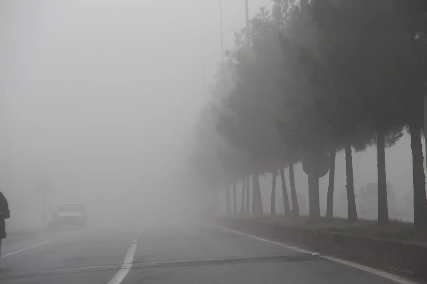 Diyarbakır’da yoğun sis etkili oldu