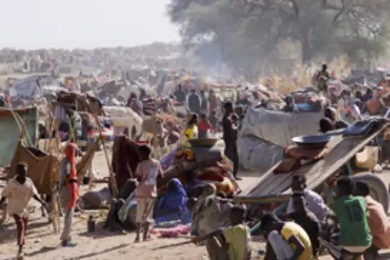 Uluslararası Göç Örgütü: Hızlı Destek güçlerinin ihlalleri nedeniyle Kordofan'dan göç artıyor