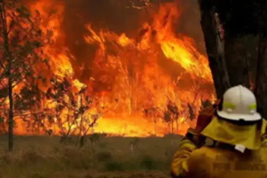 Avustralya orman yangınlarıyla mücadele ediyor