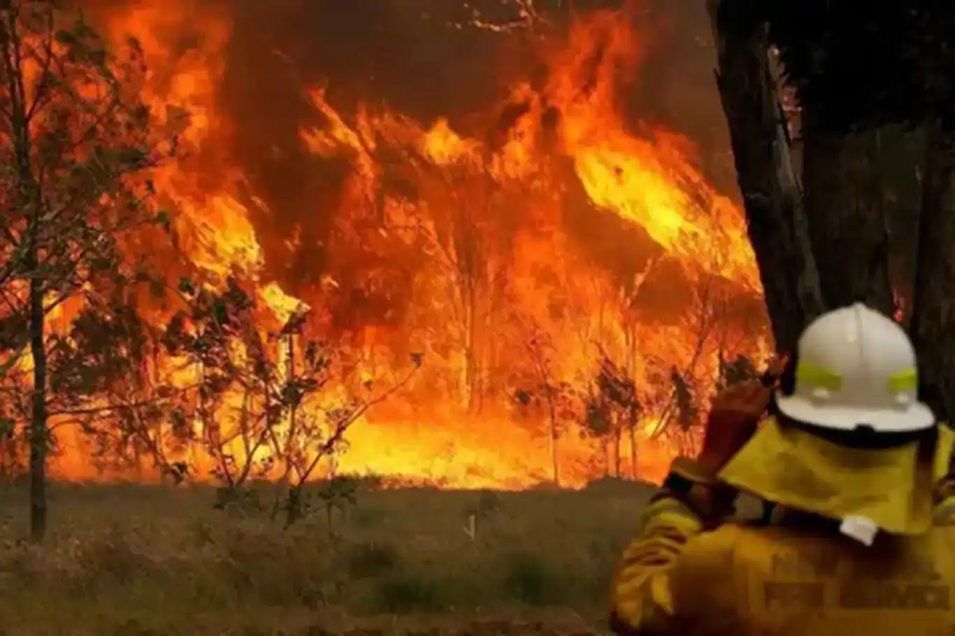 استرالیا با آتش‌سوزی‌های جنگلی مقابله می‌کند