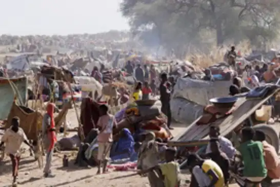 سازمان بین‌المللی مهاجرت: مهاجرت از کردفان به دلیل تخلفات نیروهای حمایت سریع در حال افزایش است