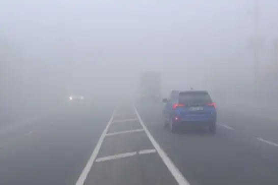Ağrı'da yoğun sis görüş mesafesini düşürdü