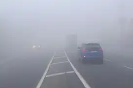 Ağrı'da yoğun sis görüş mesafesini düşürdü