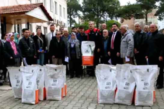 Üreticilere ayçiçeği tohumu dağıtıldı