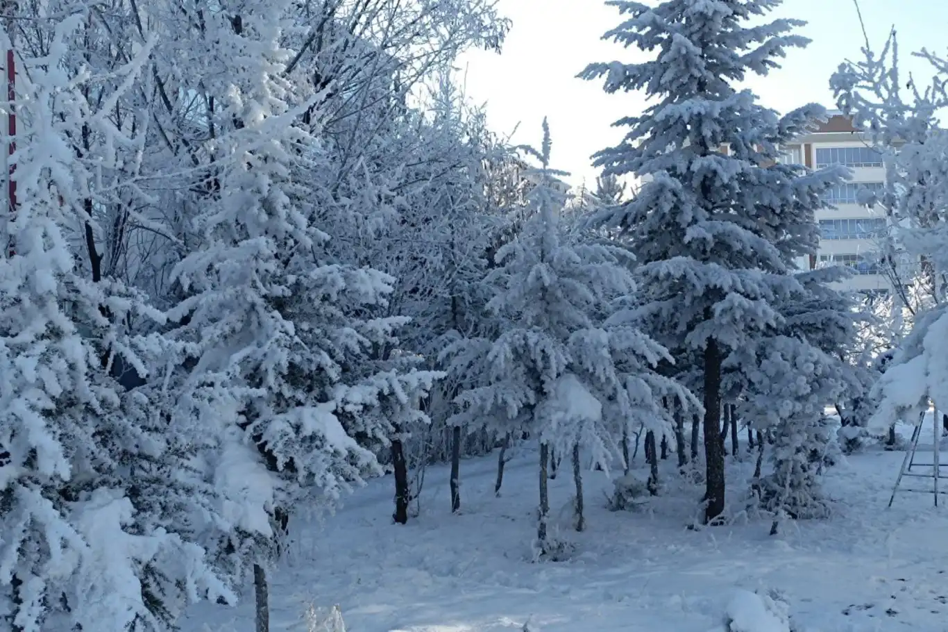 Meteoroloji'den 4 il için kuvvetli kar yağışı uyarısı