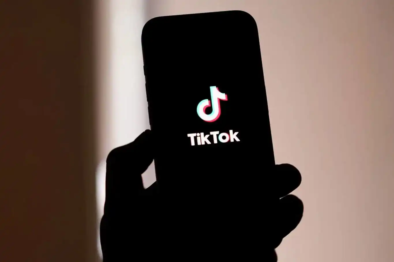 TikTok reinstated on app stores amid US ban uncertainty