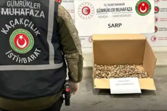 Sarp Gümrük Kapısı’nda kaçak su kaplumbağası operasyonu