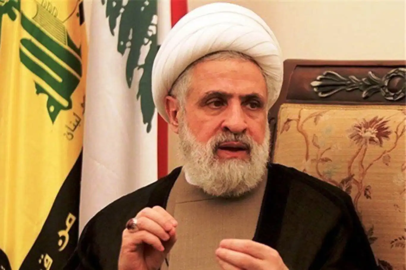 Hezbollah's Sheikh Qassem slams Trump's 'political genocide' against Palestine