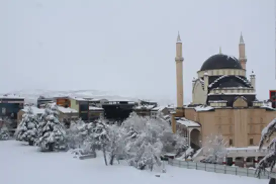 Doğu Anadolu'nun kuzeyinde kuvvetli kar yağışları bekleniyor