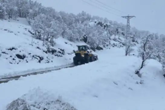 Şırnak'ta yoğun kar yağışı sonrası kapanan köy yolları ulaşıma açıldı