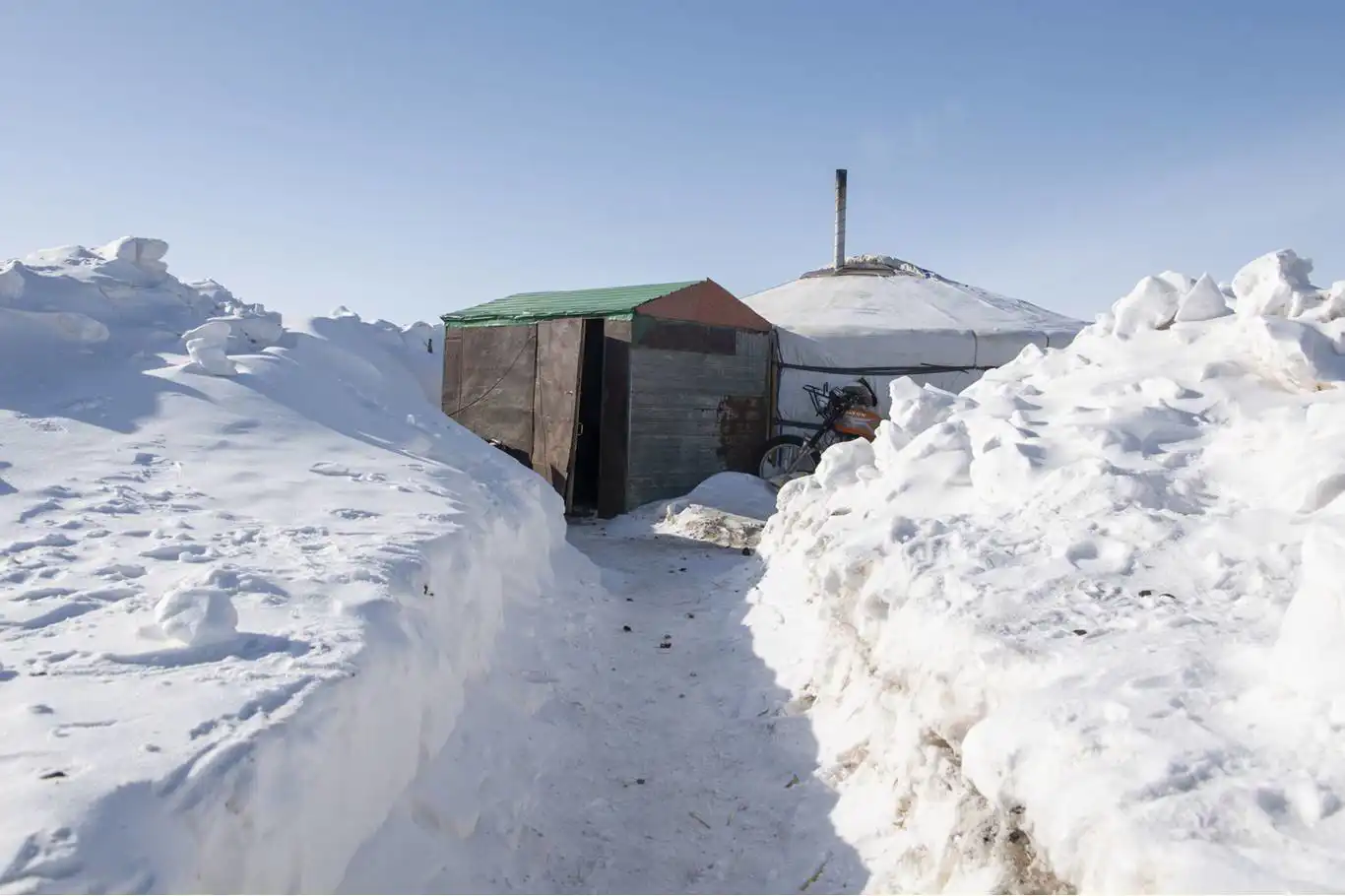 Mongolia grapples with snow coverage as 80% of land blanketed Mongolia grapples with snow coverage as 80% of land blanketed