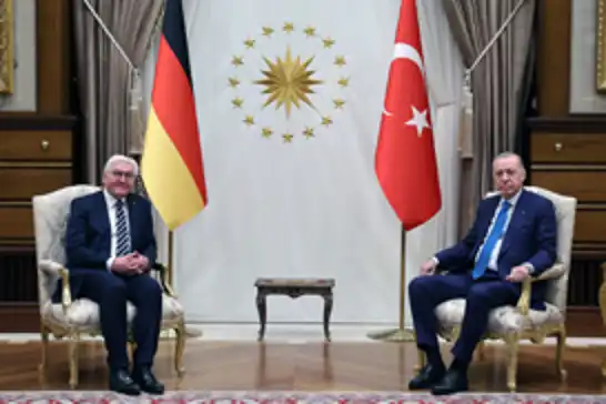 Cumhurbaşkanı Erdoğan, Almanya Cumhurbaşkanı Steinmeier ile görüştü