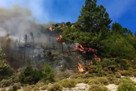 Antalya’da orman yangınına müdahale sürüyor