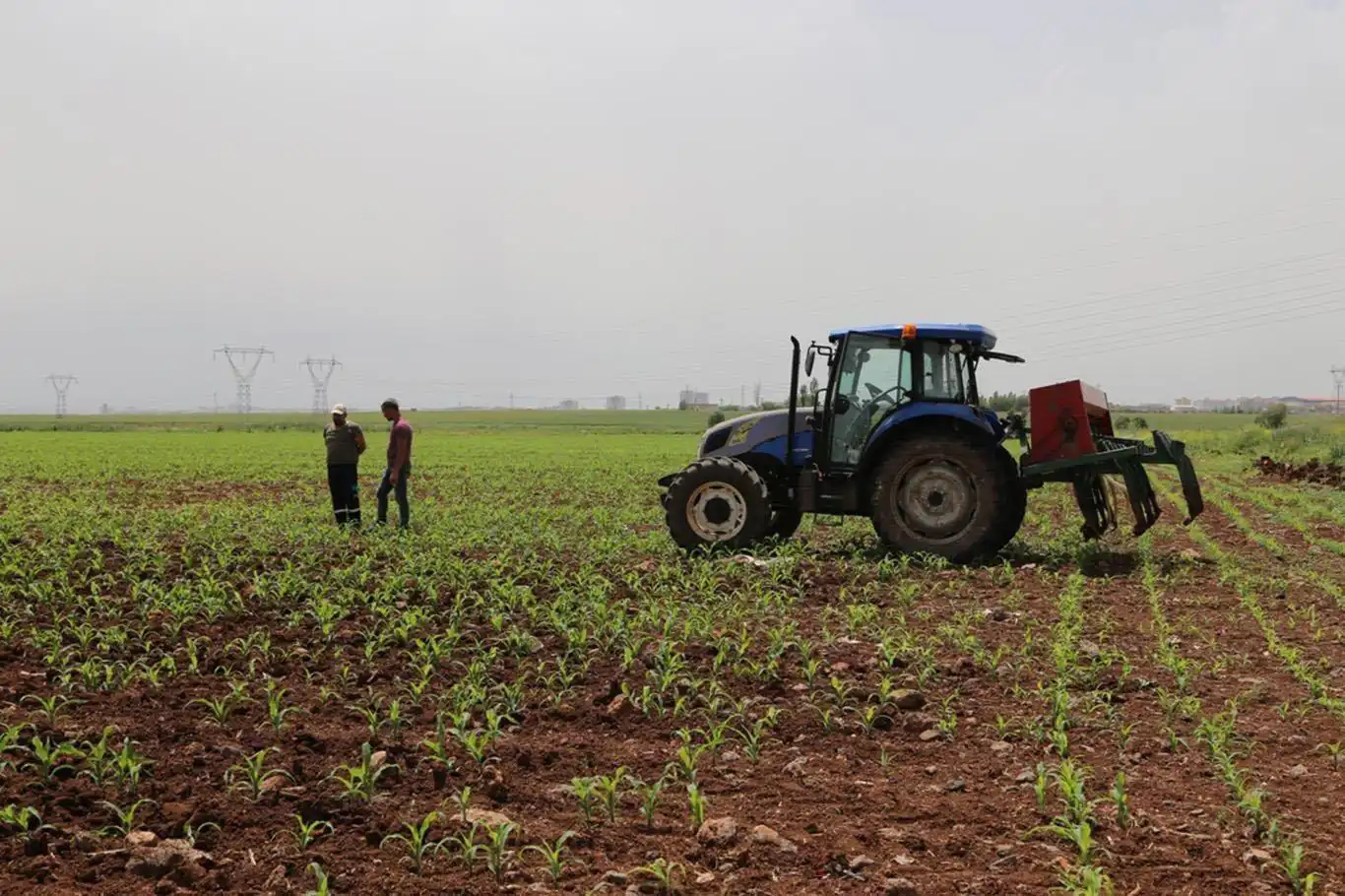 Tarımsal destekleme ödemeleri çiftçilerin hesabına yatırılıyor