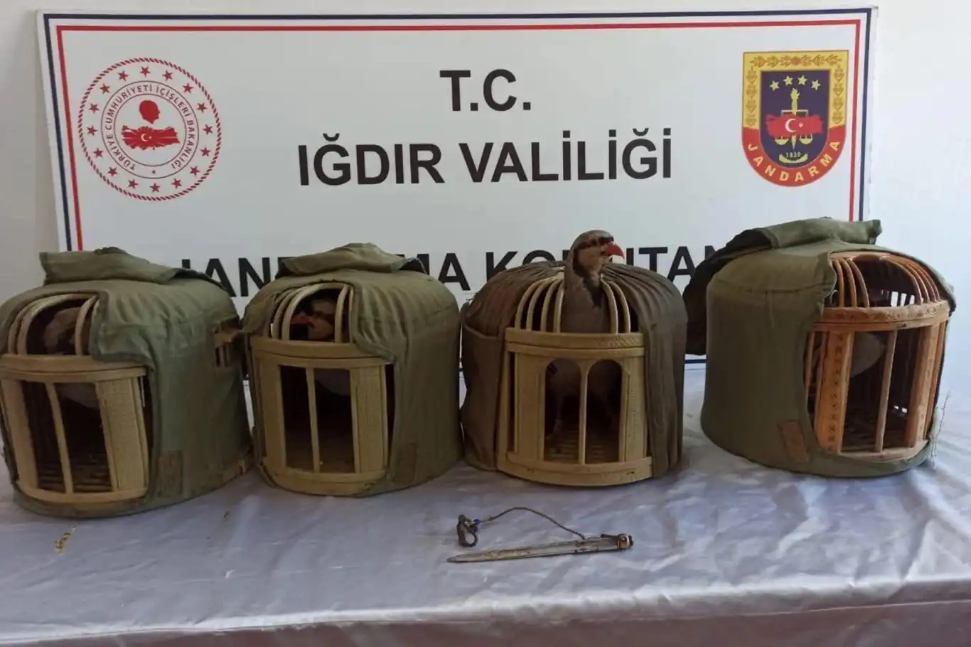Kaçak avlanan kınalı keklik avcılarına 402 bin 825 lira ceza Kaçak avlanan kınalı keklik avcılarına 402 bin 825 lira ceza