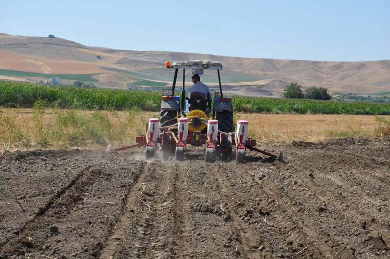 Türkiye’s agricultural producer prices surge nearly 30% annually