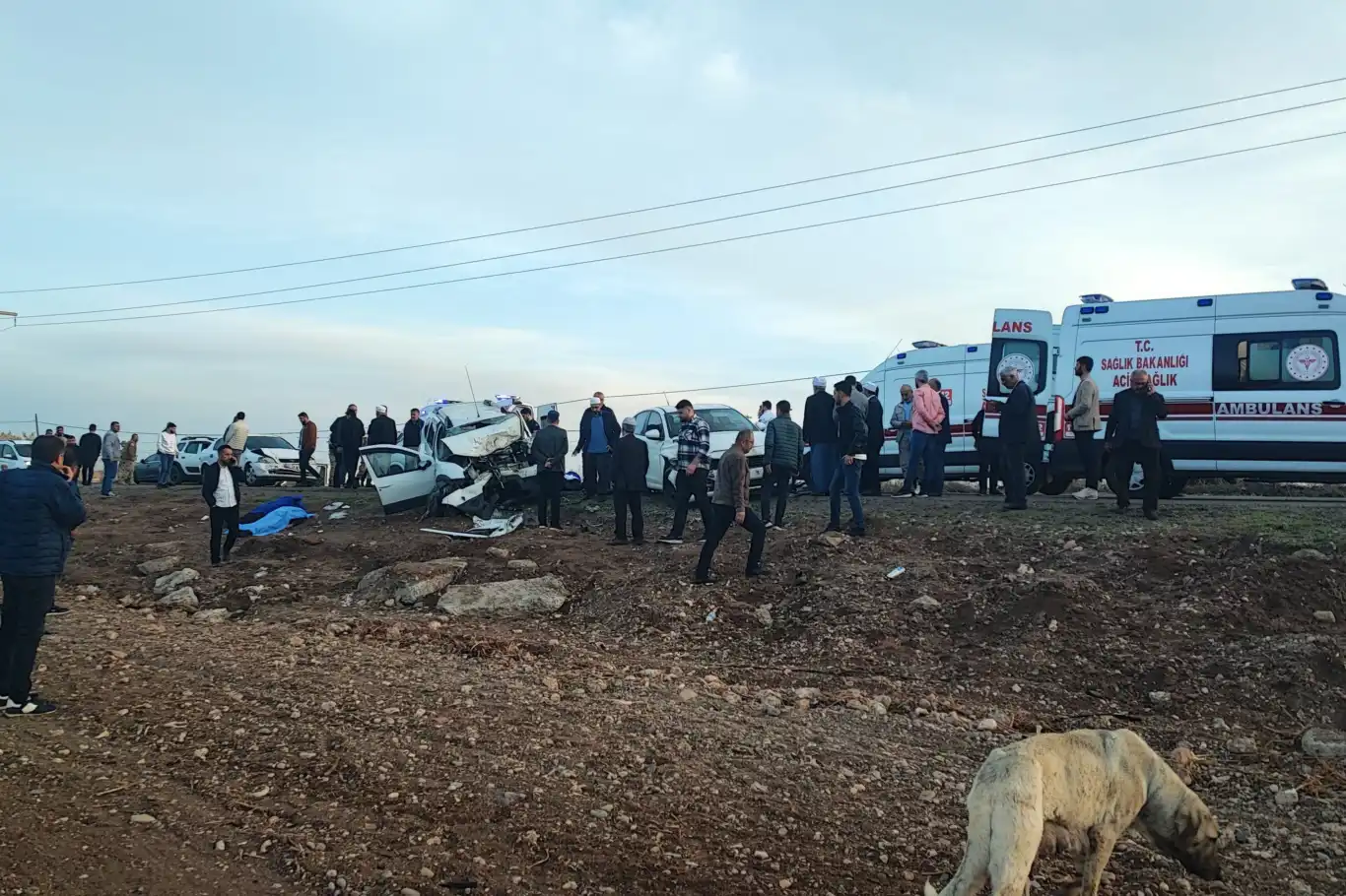 Diyarbakır’da katliam gibi kaza: 3 ölü, 6 yaralı Diyarbakır’da katliam gibi kaza: 3 ölü, 6 yaralı