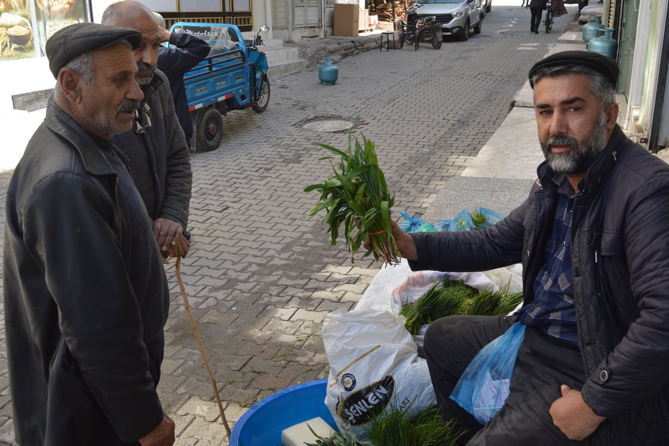 Hem şifa hem de lezzet kaynağı: Soryaz bitkisi
