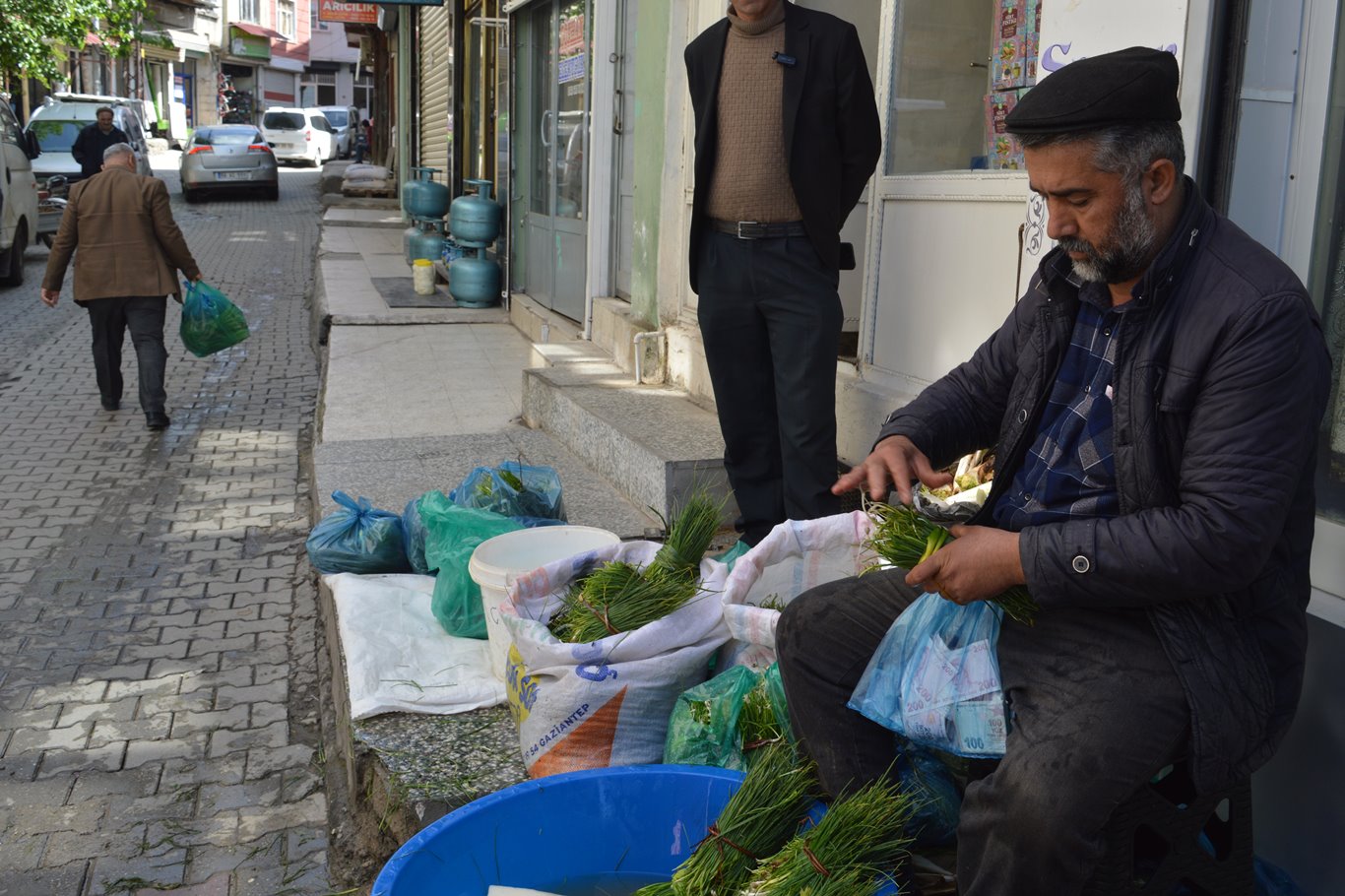 Hem şifa hem de lezzet kaynağı: Soryaz bitkisi