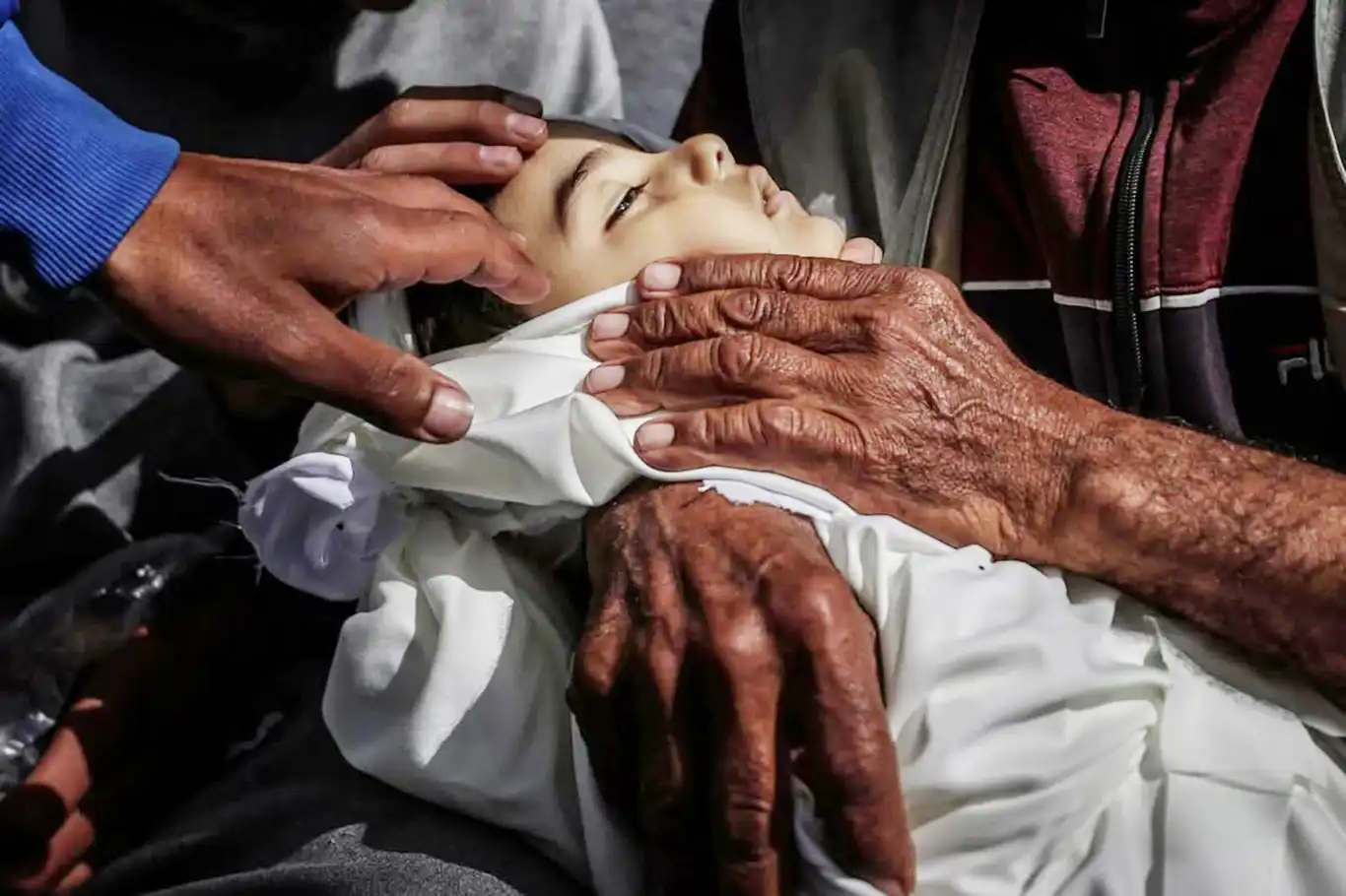 Israeli bombardment slaughters over 50 Palestinians in Gaza within 24 hours Israeli bombardment slaughters over 50 Palestinians in Gaza within 24 hours