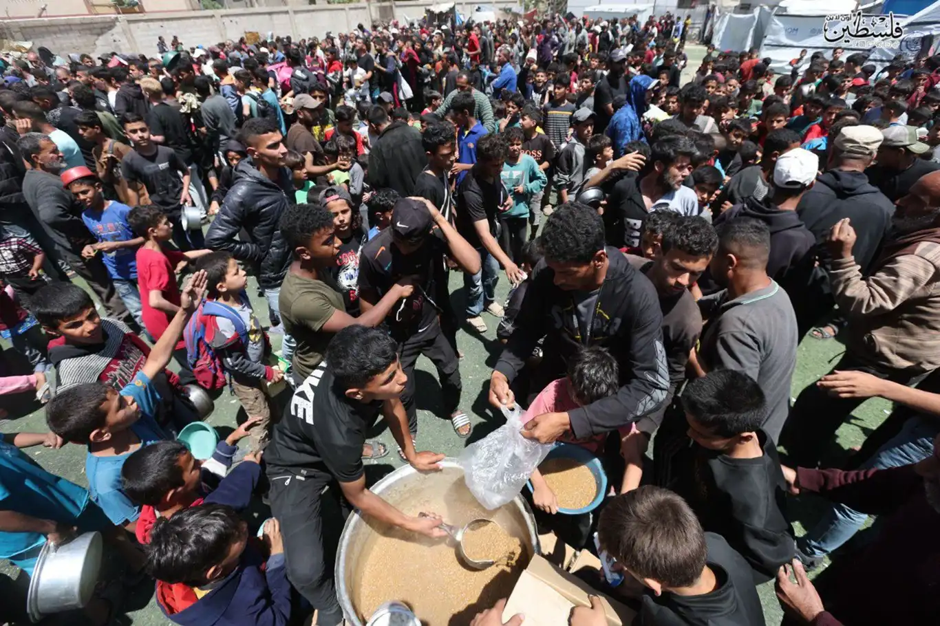 World Food Programme warns Gaza facing imminent starvation as aid supplies run dry