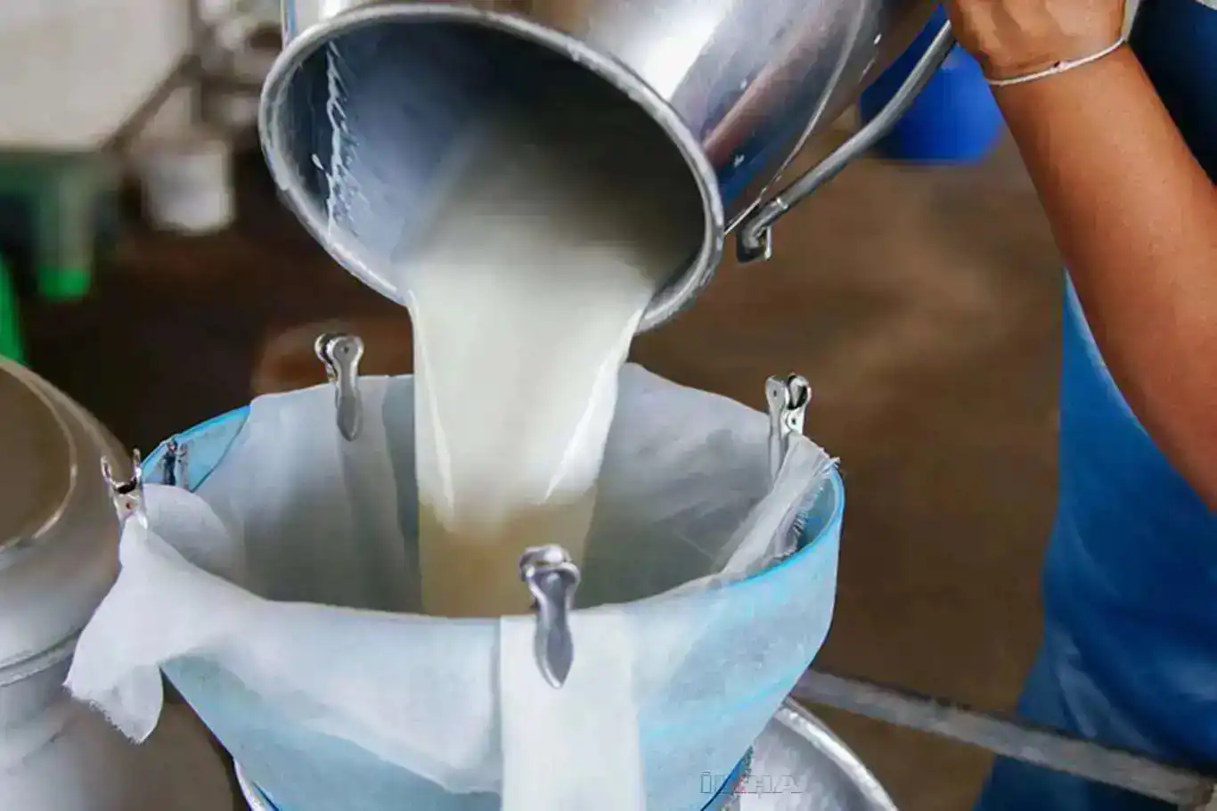 Türkiye’s dairy production sees growth in March Türkiye’s dairy production sees growth in March