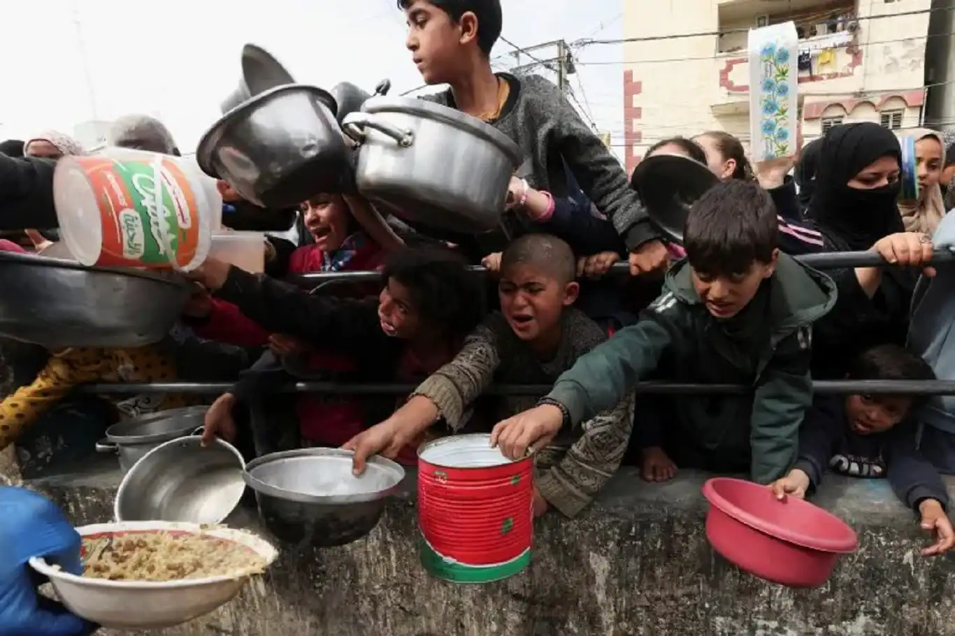 أطباء بلا حدود: ربط المساعدات بالتهجير القسري أداة تطهير عرقي ضد الفلسطينيين أطباء بلا حدود: ربط المساعدات بالتهجير القسري أداة تطهير عرقي ضد الفلسطينيين