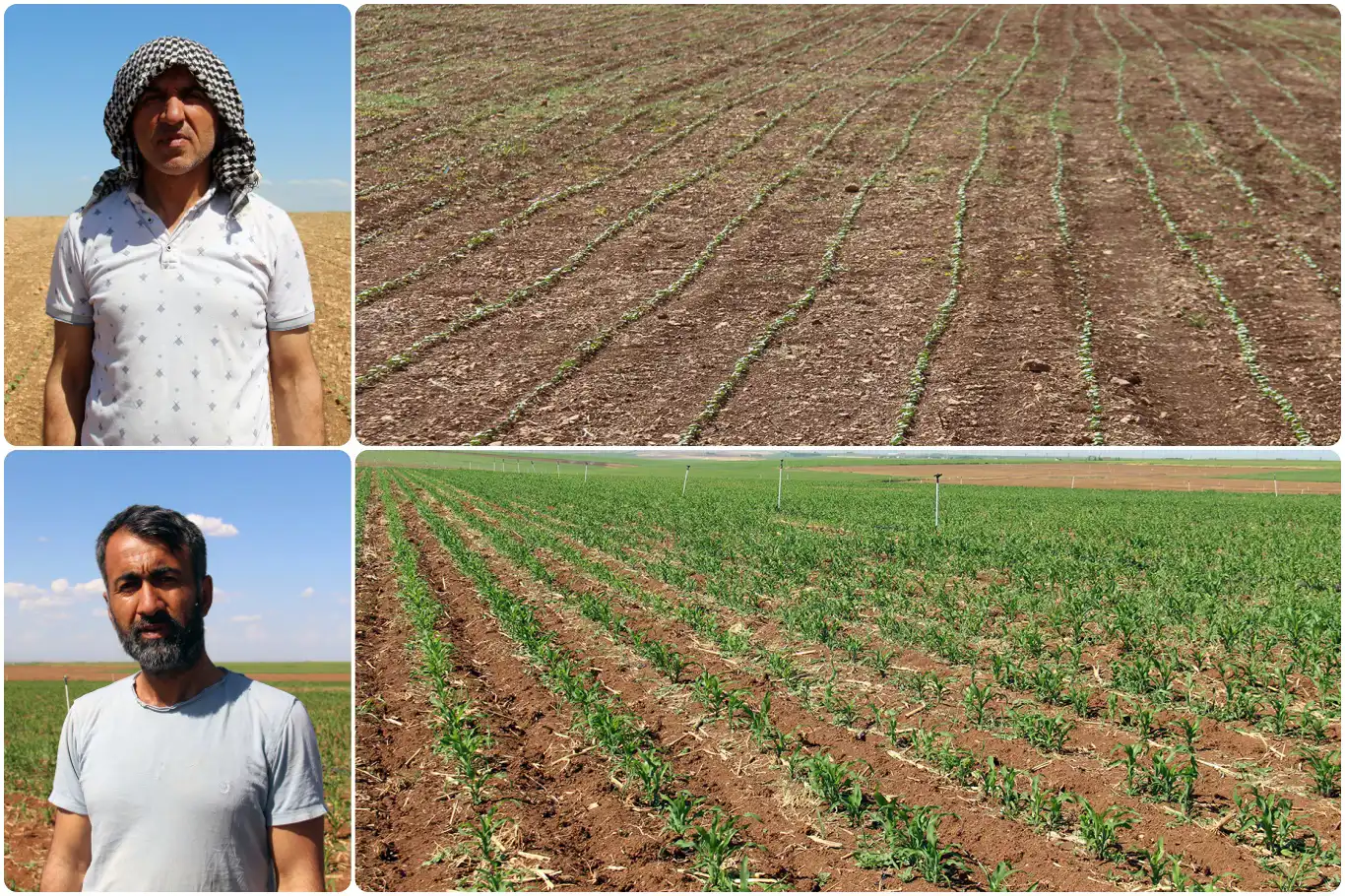 Çiftçiler: "Güneydoğu Anadolu Projesi acilen hayata geçirilsin" Çiftçiler: "Güneydoğu Anadolu Projesi acilen hayata geçirilsin"