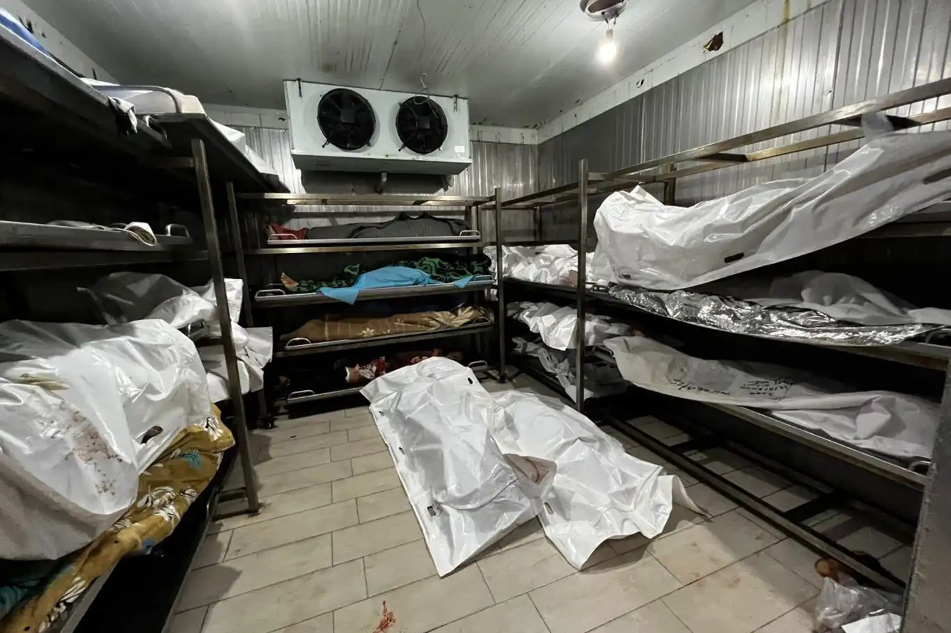 Another day of carnage: 60 Palestinians killed by Israeli airstrikes amid global silence Another day of carnage: 60 Palestinians killed by Israeli airstrikes amid global silence