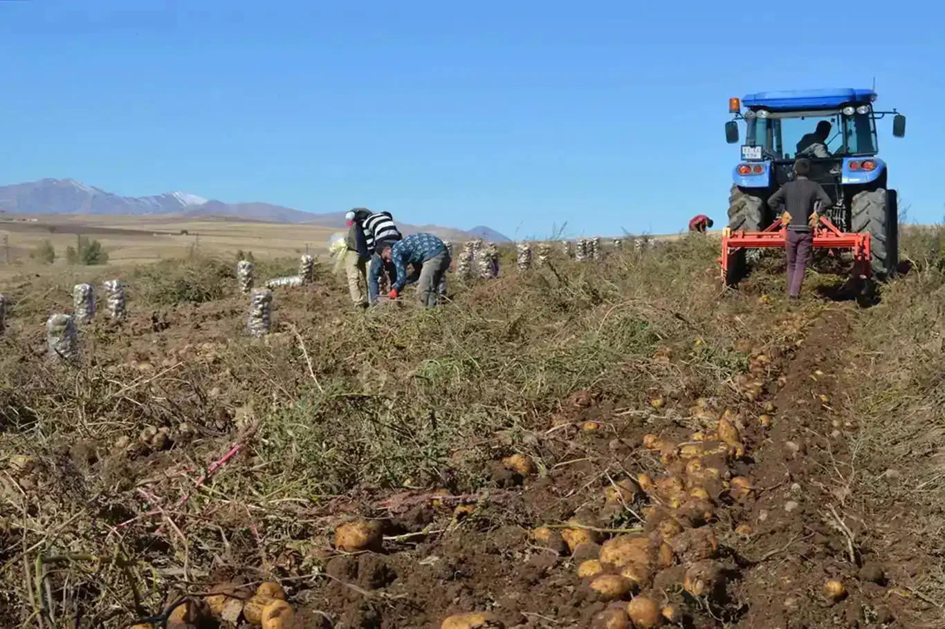 Türkiye’s agricultural producer prices see annual surge of 27.5% in April
