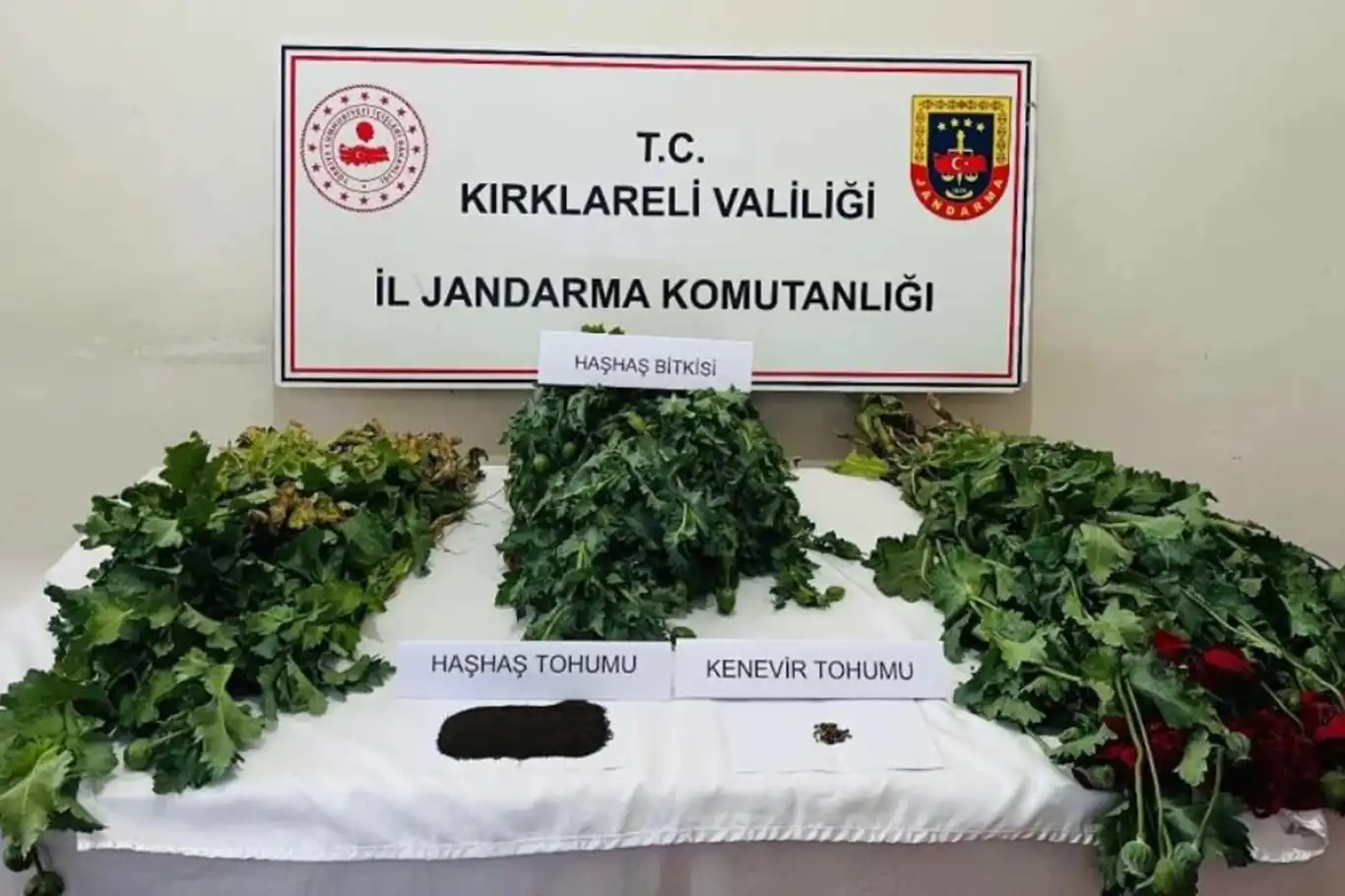 Kırklareli'nde uyuşturucu operasyonu: 8 gözaltı Kırklareli'nde uyuşturucu operasyonu: 8 gözaltı
