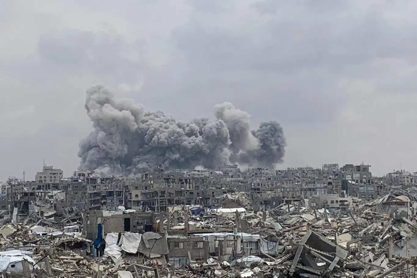 European leaders demand immediate action to halt humanitarian catastrophe in Gaza European leaders demand immediate action to halt humanitarian catastrophe in Gaza