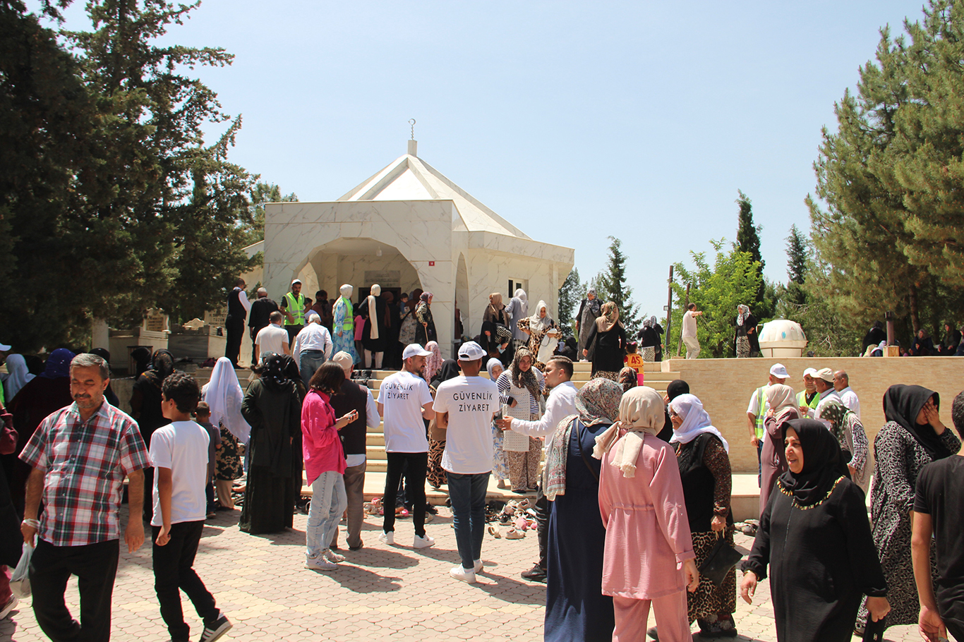 şeyh